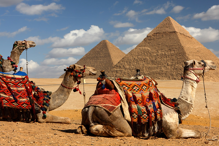 Giza_Camel_Ride3-800x600.jpg